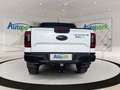 Ford Ranger Wildtrak X e-4WD Doppelkabine Weiß - thumbnail 7