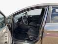 Ford Fiesta 1.0 EcoBoost Hybrid S&S Aut. TITANIUM *LED* Grau - thumbnail 9