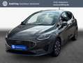 Ford Fiesta 1.0 EcoBoost Hybrid S&S Aut. TITANIUM *LED* Grau - thumbnail 1