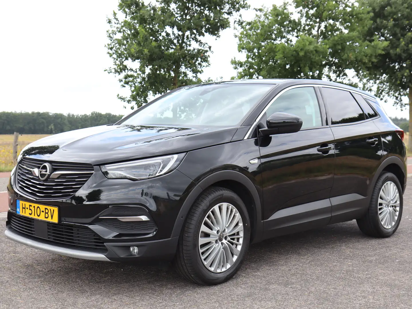 Opel Grandland X Grandland X 1.2 Turbo Business Executive - 1