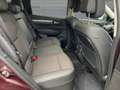 Renault Koleos 1.3 TCe 160 Intens Rot - thumbnail 9
