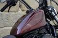 Harley-Davidson Sportster 1200 Harley  Sportster XL 1200 Iron ABS Zubehör Rot - thumbnail 13