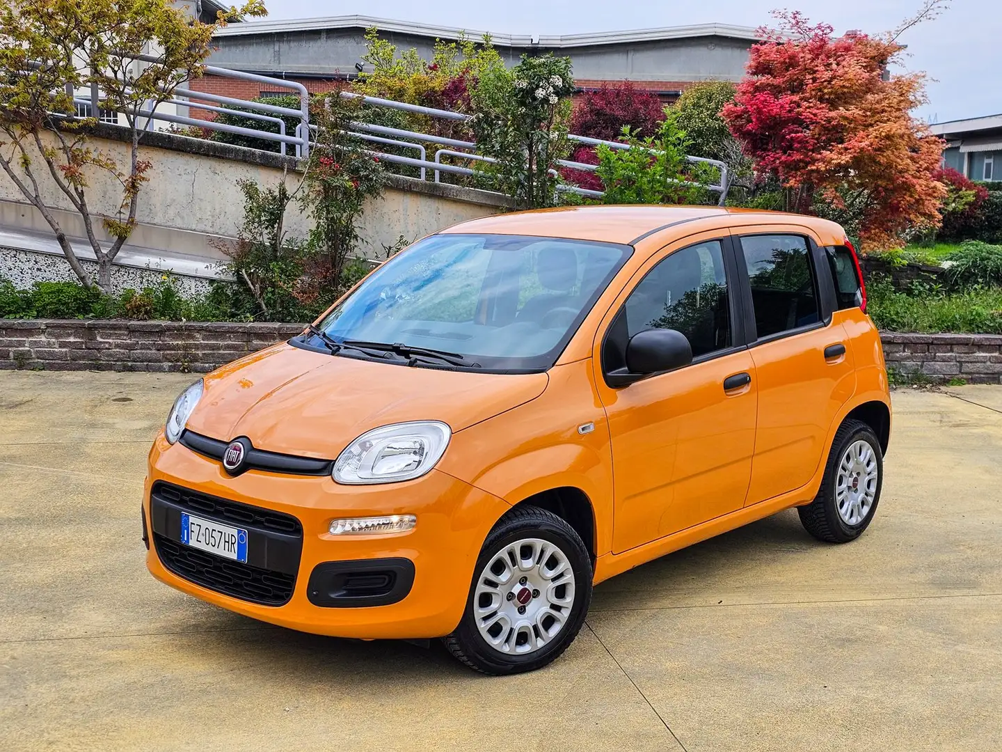 Fiat Panda Panda 1.2 Easy s Arancione - 1