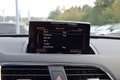 Audi Q3 2.0 TDI quattro Intense+ **8 Fach Bereift, AHK** Grün - thumbnail 18