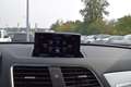 Audi Q3 2.0 TDI quattro Intense+ **8 Fach Bereift, AHK** Grün - thumbnail 15