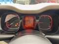 Fiat Panda 1.3 mjt 16v 4x4 75cv E5+ Beige - thumbnail 23
