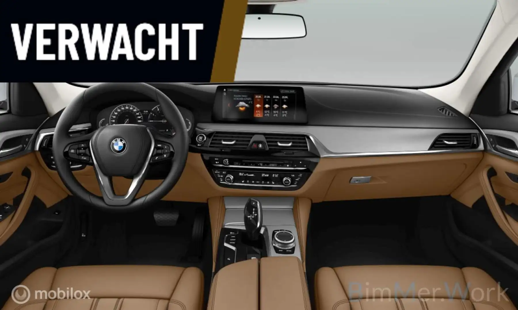 BMW 520 5-serie Touring 520i Corp. Lease High Exec. | VERW Gris - 2