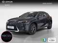 Lexus UX 300h 2.0 Plus Gris - thumbnail 1