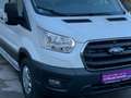 Ford Transit 350 L3 Transit Trend FT 350 2.0 TDCi, Ford Service Weiß - thumbnail 11