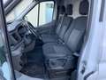 Ford Transit 350 L3 Transit Trend FT 350 2.0 TDCi, Ford Service Weiß - thumbnail 23