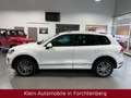 Volkswagen Touareg R Line Sport TerrainLederNavBiXenonKamer Weiß - thumbnail 4