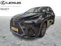 Lexus NX 350h Business Line Awd Noir - thumbnail 1