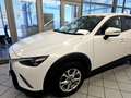 Mazda CX-3 AHK,Sitzheizung,PDC,Klimaautomatik bijela - thumbnail 18