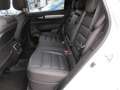 Renault Koleos Initiale Paris 4x4 Pano Dach Leder Kamera Sitzh Weiß - thumbnail 14