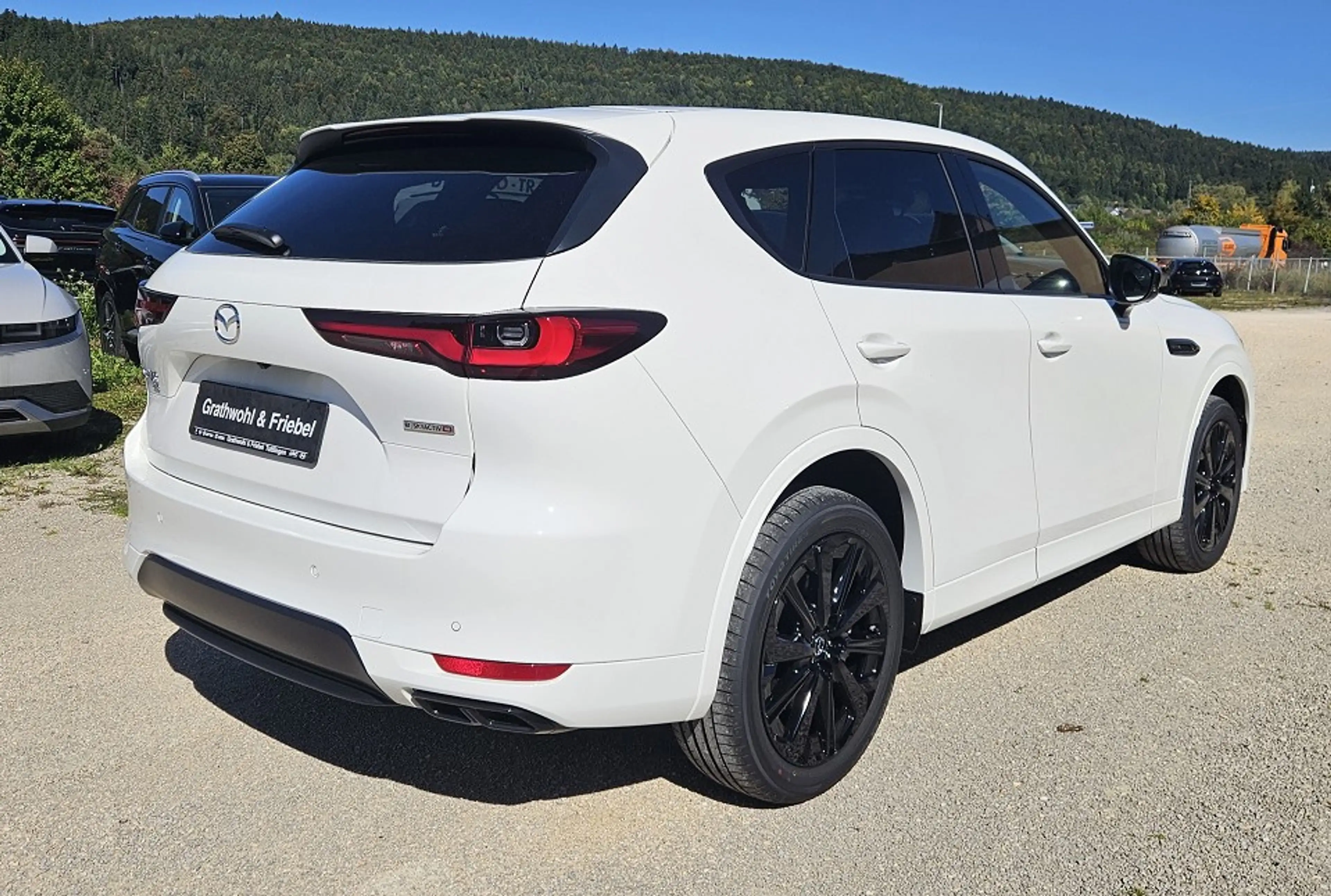 Mazda CX-60 3.3 e-SKYACTIV D 254 8AT AWD Homura Plus — photo 13