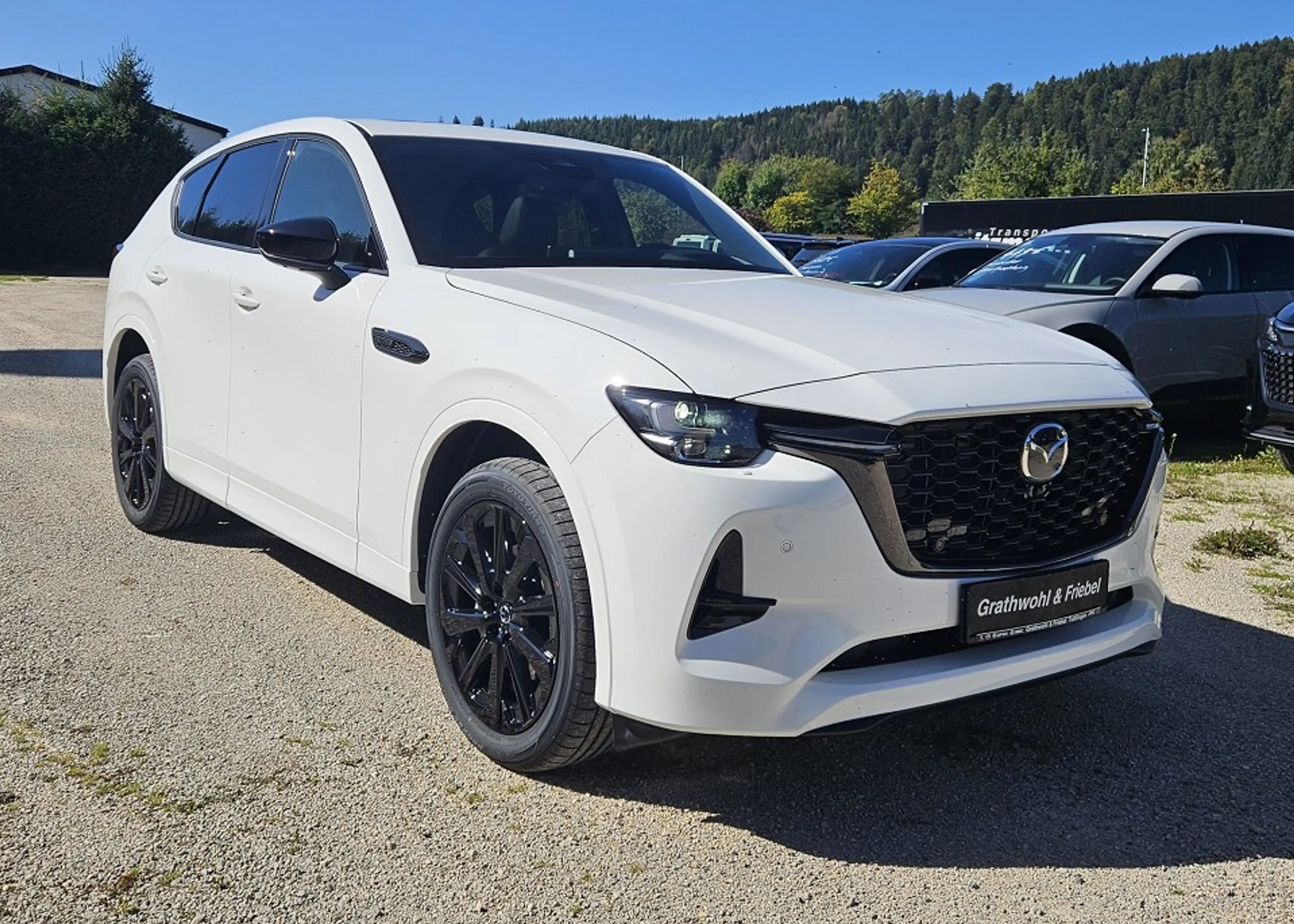 Mazda CX-60 3.3 e-SKYACTIV D 254 8AT AWD Homura Plus — photo 3