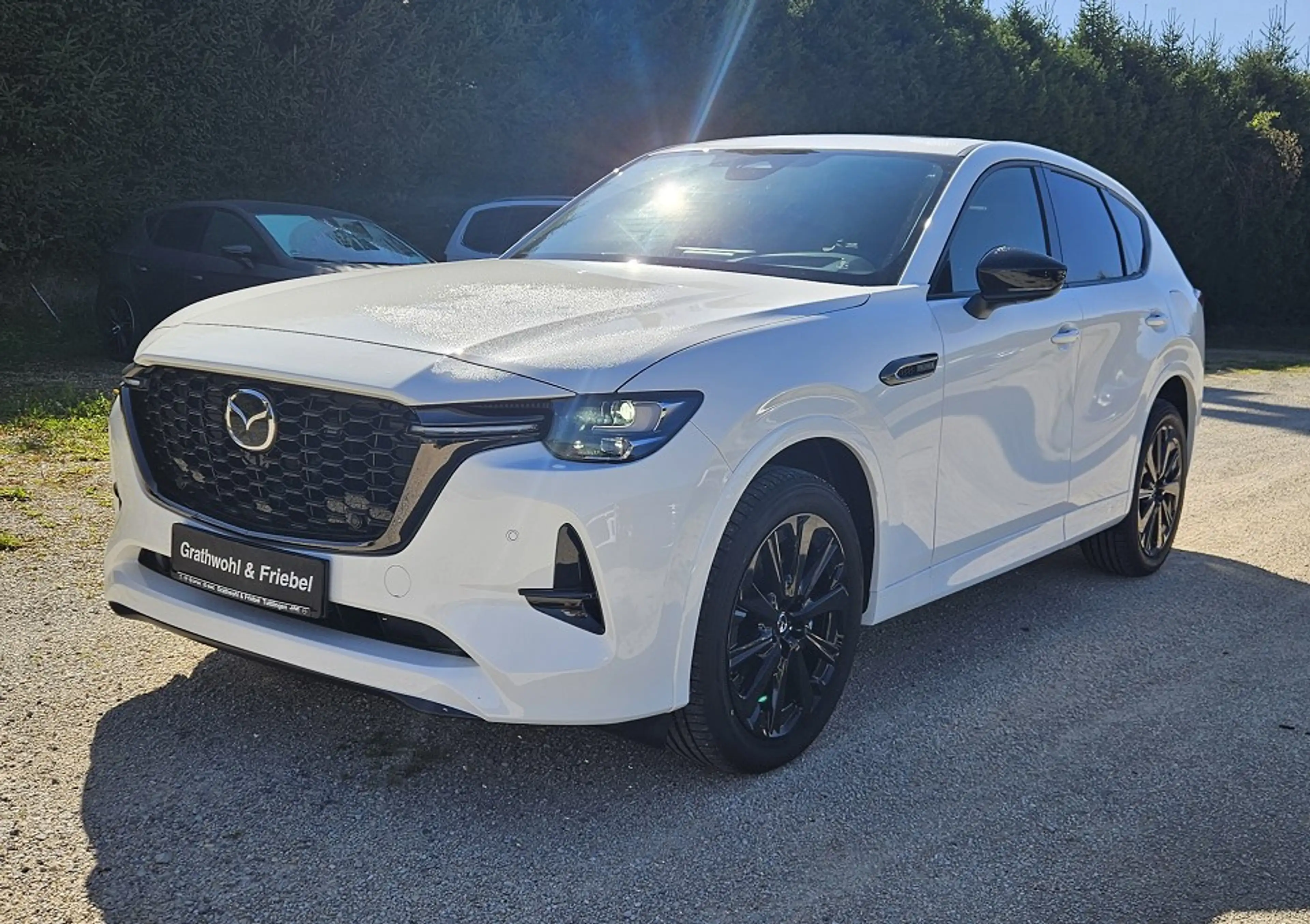 Mazda CX-60 3.3 e-SKYACTIV D 254 8AT AWD Homura Plus