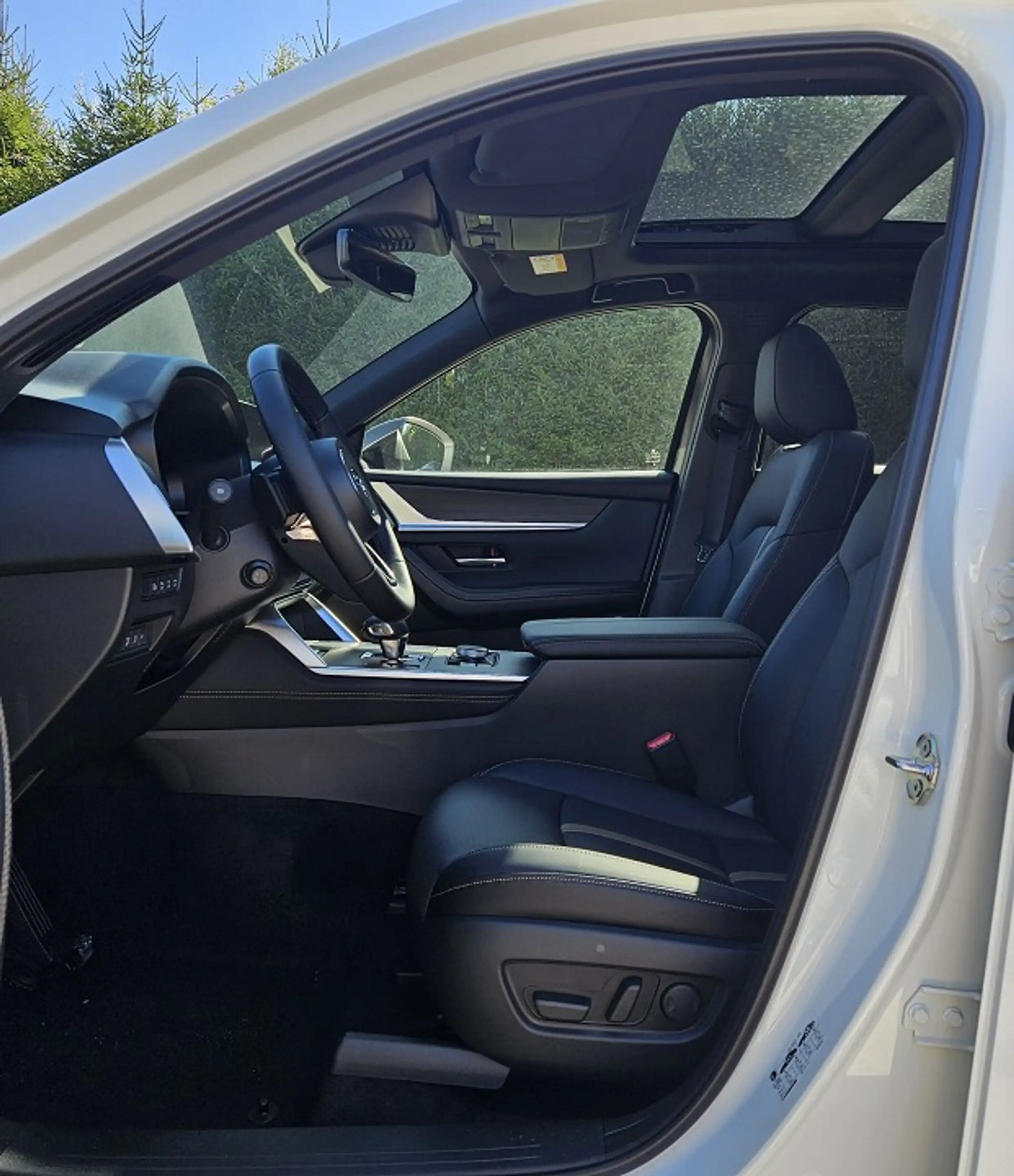 Mazda CX-60 3.3 e-SKYACTIV D 254 8AT AWD Homura Plus — photo 9