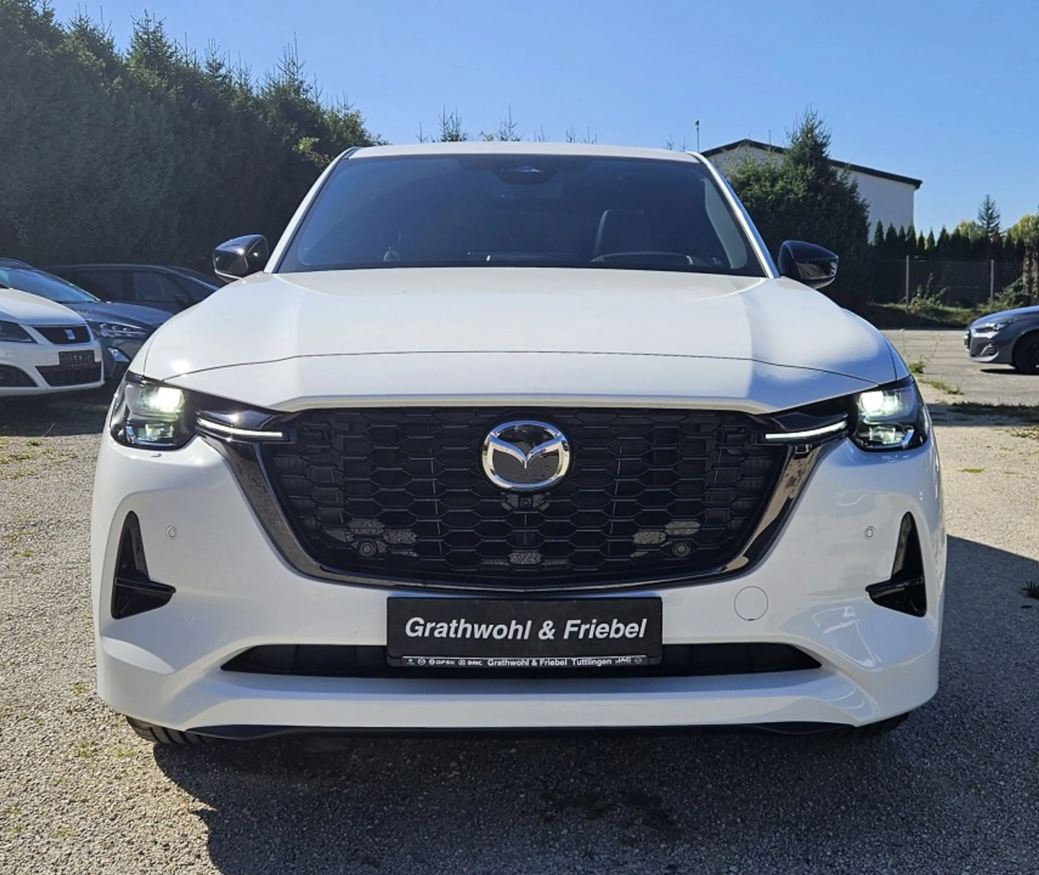 Mazda CX-60 3.3 e-SKYACTIV D 254 8AT AWD Homura Plus — photo 2