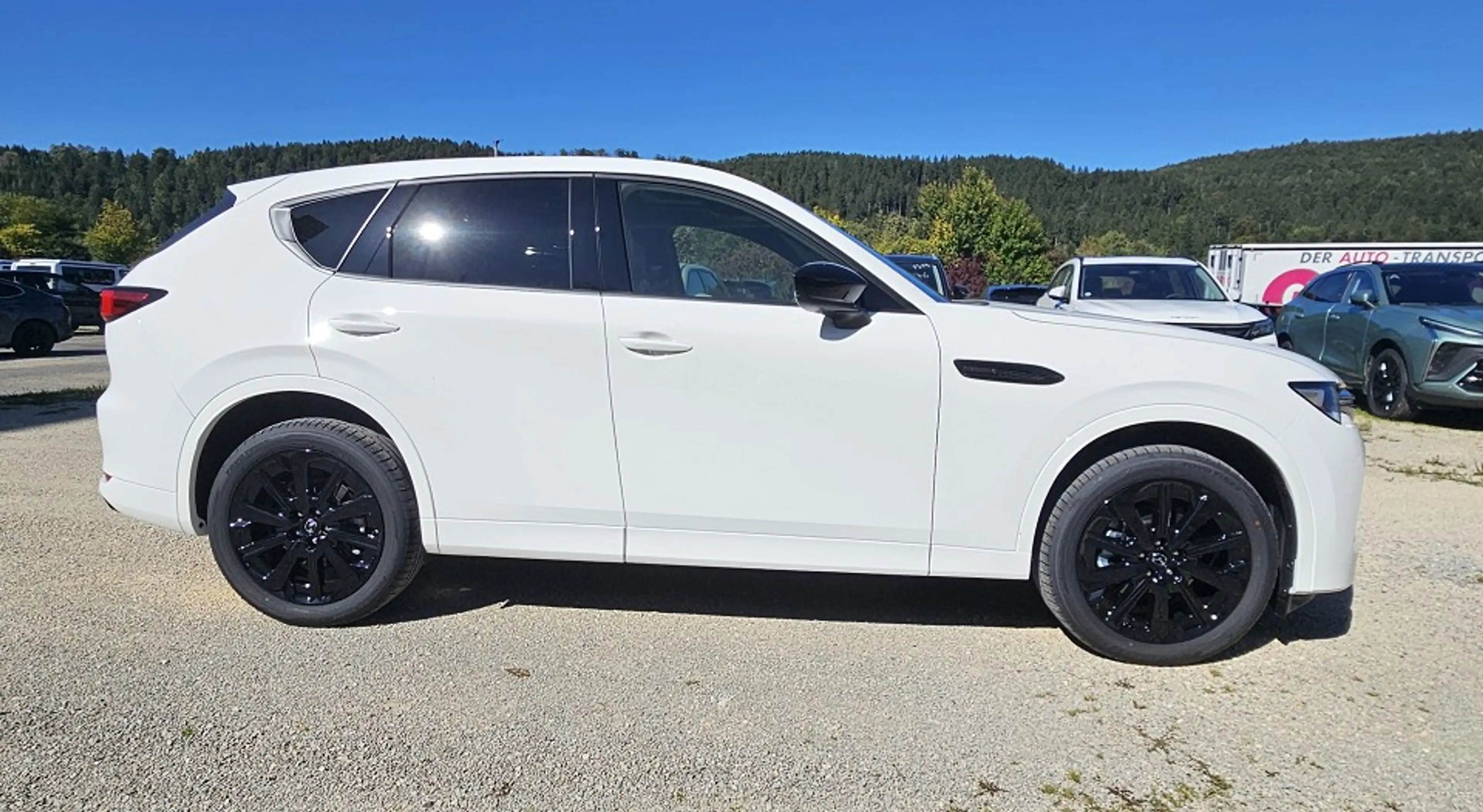 Mazda CX-60 3.3 e-SKYACTIV D 254 8AT AWD Homura Plus — photo 4