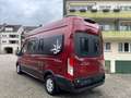 Ford Transit Westfalia BIG NUGGET Rot - thumbnail 5