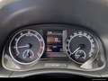 Skoda Fabia Fabia 1.0 MPI Drive 125 OPF (EURO 6d-TEMP) SHZ NSW Rot - thumbnail 13