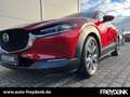 Mazda CX-30 SKYACTIV-G 2.0 M Hybrid SELECTION DESIGN-P.,i-Acti Rot - thumbnail 6