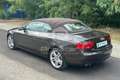 Audi A5 A5 Cabrio 2.0 TDI 177 CV multitronic Advanced Marrón - thumbnail 7