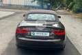 Audi A5 A5 Cabrio 2.0 TDI 177 CV multitronic Advanced Marrón - thumbnail 6