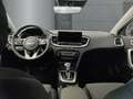 Kia Ceed / cee'd 1.5 T-GDI 5 Tür Top DCT 7 Navi Sitzheizung Rückfah Gris - thumbnail 10