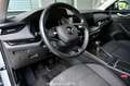 Skoda Octavia 2.0 TDI DPF Premium Pickerl NEU Silber - thumbnail 15