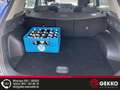 Kia Sportage T-GDI+LED+Kamera+APP+Drive Mode+DAB+2-Zonen Blauw - thumbnail 4