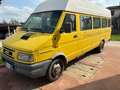 Iveco Daily A45E10 SCUOLABUS Geel - thumbnail 1