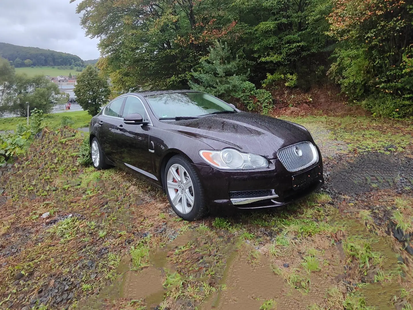 Jaguar XF XF 3.0 V6 Diesel Luxury Rood - 2
