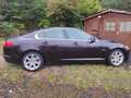 Jaguar XF XF 3.0 V6 Diesel Luxury Rood - thumbnail 6