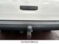 Volkswagen T6 Transporter Kasten-Kombi Kasten EcoProfi Bianco - thumbnail 11