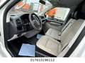 Volkswagen T6 Transporter Kasten-Kombi Kasten EcoProfi Bianco - thumbnail 15
