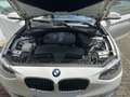 BMW 114 114d Klima Sitzheizung PDC Weiß - thumbnail 17