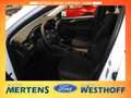 Ford Kuga Titanium 1.5 LED + 360-Grad Kamera + ACC Weiß - thumbnail 6