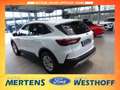 Ford Kuga Titanium 1.5 LED + 360-Grad Kamera + ACC Weiß - thumbnail 4