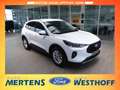 Ford Kuga Titanium 1.5 LED + 360-Grad Kamera + ACC Weiß - thumbnail 2