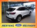 Ford Kuga Titanium 1.5 LED + 360-Grad Kamera + ACC Weiß - thumbnail 3
