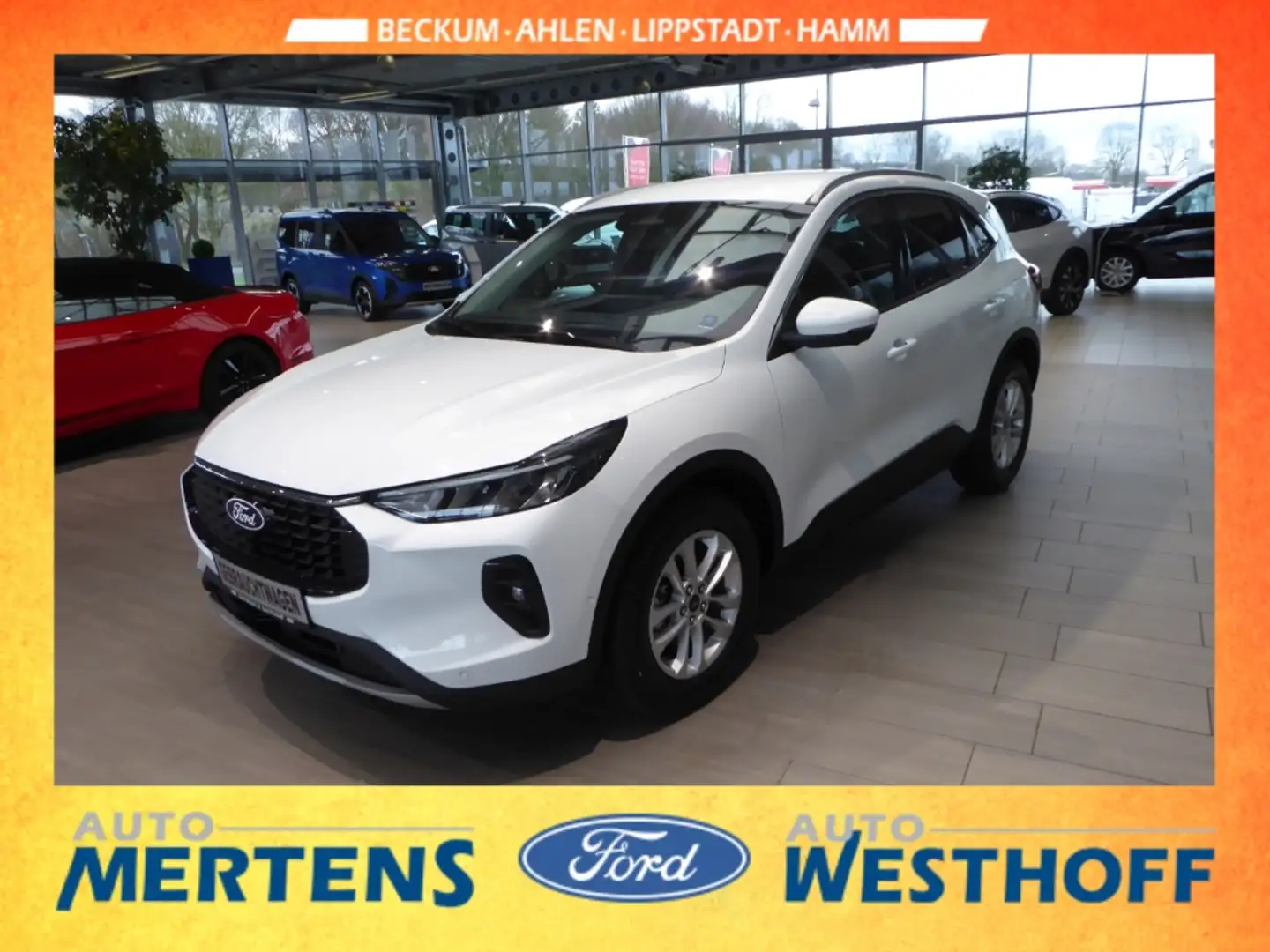 Ford Kuga Titanium 1.5 LED + 360-Grad Kamera + ACC Weiß - 1