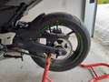 Kawasaki Z 650 Verde - thumbnail 6