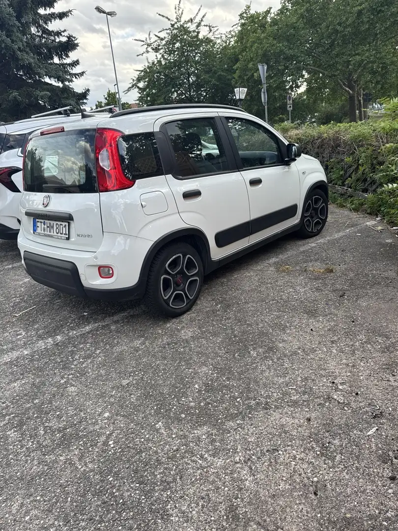 Fiat New Panda City hybrid Wit - 1