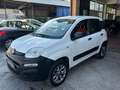 Fiat Panda VAN 1.3 MJT POP 80CV 4X4 2P.TI SERIE 2 E6 bijela - thumbnail 3