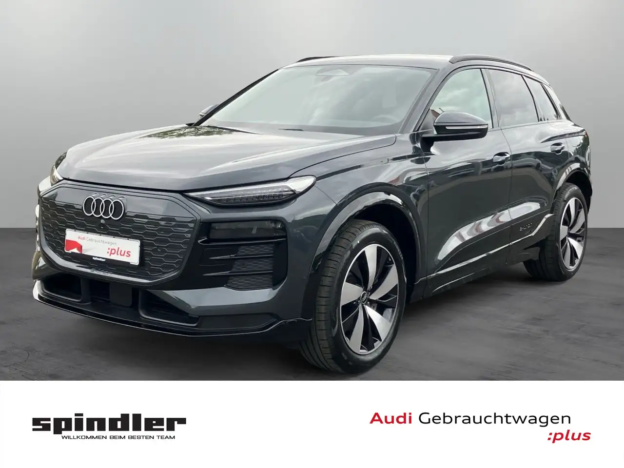 Audi Q6 SUV e-tron / Tech, Standklima, CarPlay, AHK, WP