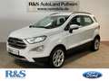 Ford EcoSport Titanium+Kamera+Tempomat+Sitzheizung Blanc - thumbnail 1