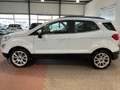 Ford EcoSport Titanium+Kamera+Tempomat+Sitzheizung Blanc - thumbnail 3