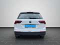 Volkswagen Tiguan 2.0 TDI DSG Life NAVI SHZ RFK AHK ACC Weiß - thumbnail 6